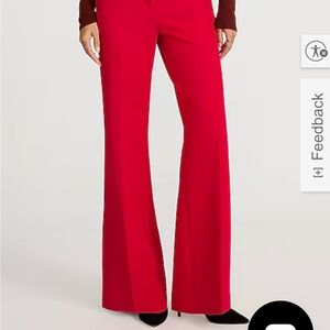 Express Burgundy Dress Pants